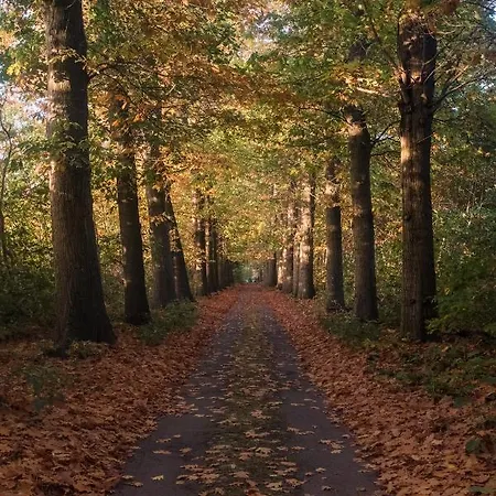 Parkbos فندق مبيت وإفطار